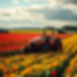 A vibrant field showcasing diverse crops in Tennessee