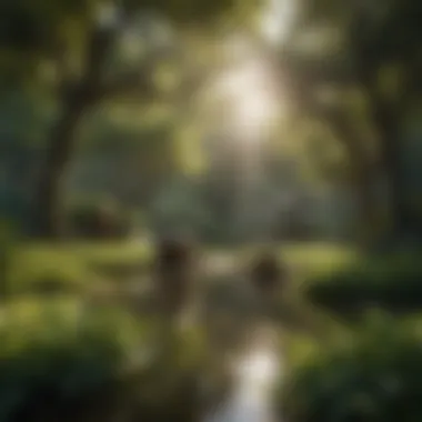 Serene Tea Garden A serene tea garden reflecting seasonal beauty