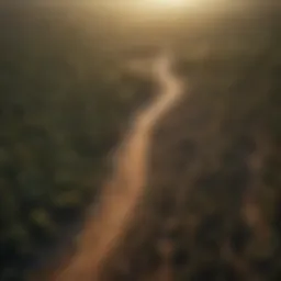 Aerial view of deforested land showcasing stark land use changes.
