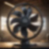 Innovative cooling fan design in agricultural setting