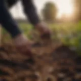 An environmental auditor analyzing soil samples on a farm