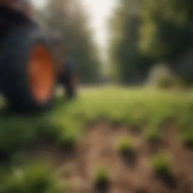 Application Techniques for Weed and Feed Proper application techniques for weed and feed