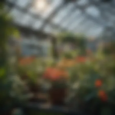 Full-Spectrum Grow Light in Greenhouse Full-spectrum grow light setup in a greenhouse environment