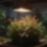 High-intensity LED grow light illuminating a vibrant indoor garden
