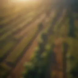 Aerial view of diverse agricultural land