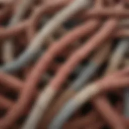 Close-up of different sizes of castration bands used in livestock management.