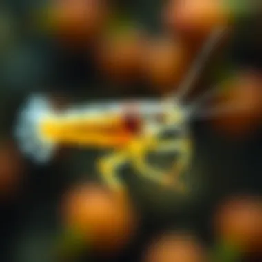 Nutritional profile of copepods