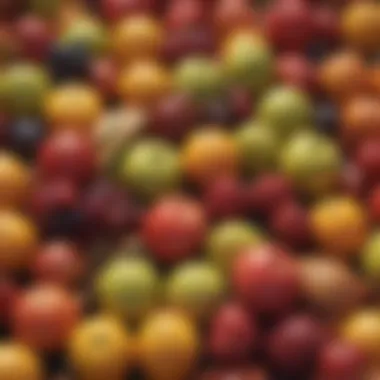 Fresh Fruits with Labels Close-up of fresh fruits with labels