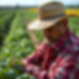 A farmer inspecting crops to ensure compliance with FSMA regulations