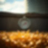 Optimal Placement of Grain Bin Thermometers Thermometer installed in a grain bin