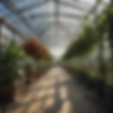 Eco-Friendly Heating Solutions for Greenhouses Eco-friendly heating solutions for greenhouses