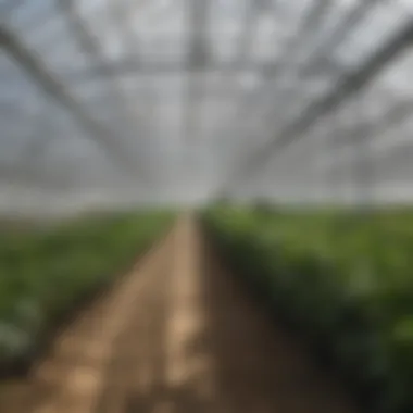 Installation of heating cables in a greenhouse environment