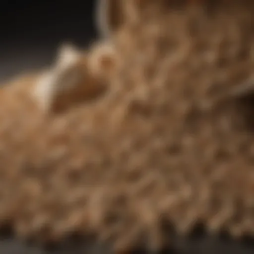 High-quality jiffy pellets ready for bulk purchase