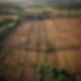 Map showcasing land ownership patterns in agriculture