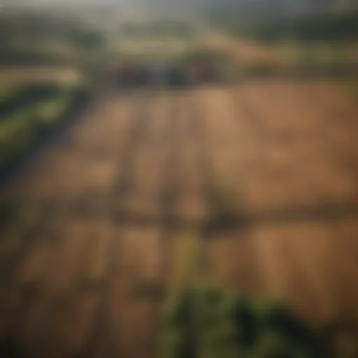 Map showcasing land ownership patterns in agriculture