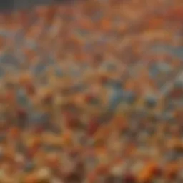 Close-up of pollen pellets showcasing diverse colors and textures