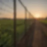 Premier netting fence installation in a vibrant agricultural field