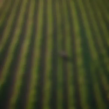 Aerial view of agricultural land utilizing turf