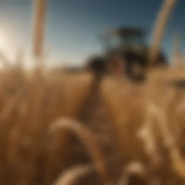 Innovative Agriculture Technology Innovative technology in agriculture enhancing wheat production