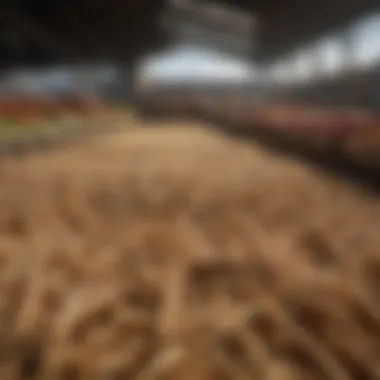 A visual representation of market trends in agriculture