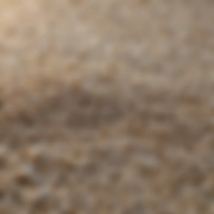 A close-up of urea granules highlighting their texture and form.