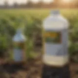 Detailed illustration of TripleFlex II active ingredients