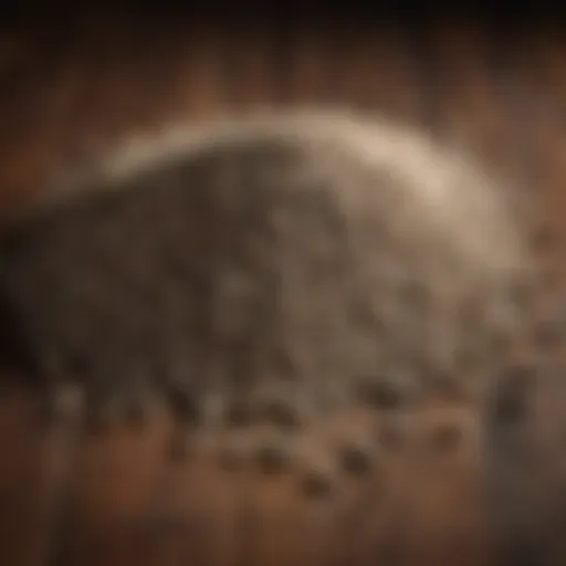 Close-up of rat bait pellets on a wooden surface