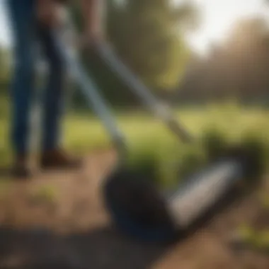 Weed removal tools and techniques for lawn care