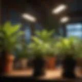 Close-up of stick-on LED grow lights illuminating indoor plants