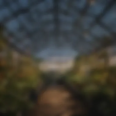 Innovative arrangement of stick-on LED lights in a greenhouse