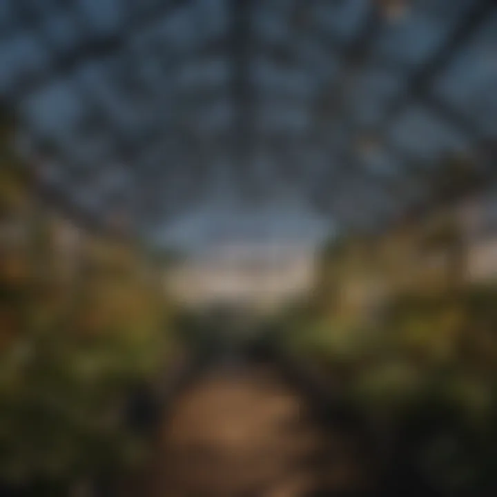 Innovative arrangement of stick-on LED lights in a greenhouse