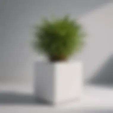 Close-up view of a white square plant pot highlighting its material and texture