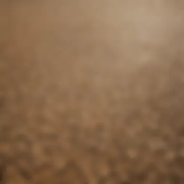 Aerial view of a parched landscape showcasing the effects of drought.