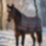 WeatherBeeta turnout blanket on a horse in a snowy landscape